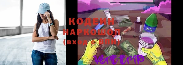 скорость Бородино