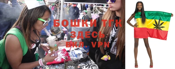 круглые Богородицк