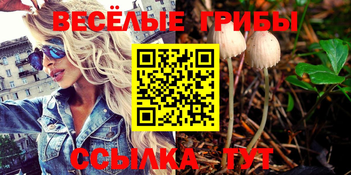 Псилоцибиновые грибы MAGIC MUSHROOMS Гудермес